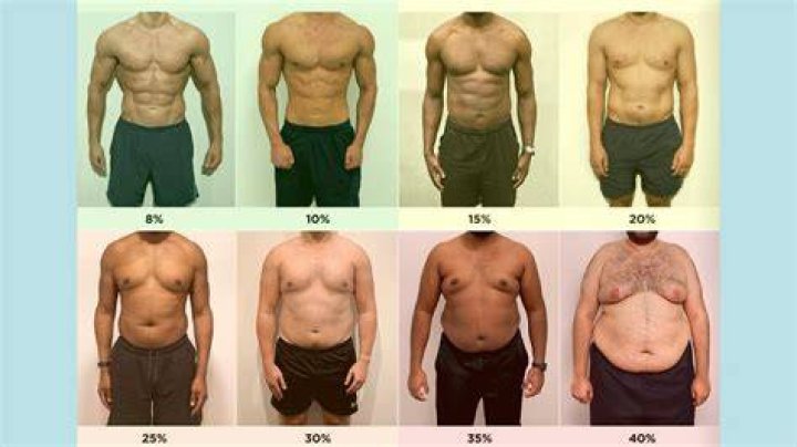 What Does 20 lbs of Fat Look Like? A Comprehensive Guide