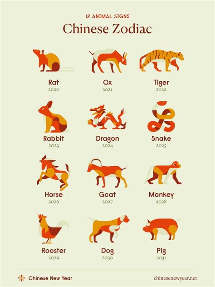 What is the Chinese Zodiac Sign for 1991? Discover Your Zodiac Animal and Its Meaning