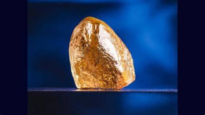 What is Yonnie Yellow? Unveiling the Fascinating Phenomenon