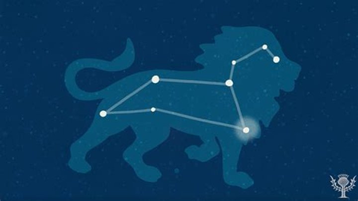 Zodiac Sign Leo Dress to Impress: Unleash Your Inner Royalty